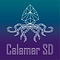 calamarsd_v2.png