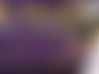 LSU Football Class of 2024 Recruiting Round Up