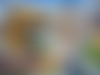 LSU Returns to Tiger Park Looking to Bounce Back Against Texas A&M