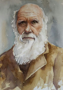 03669216-b709-4880-a11e-298ea4a45243