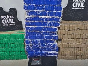 Carga de drogas apreendida