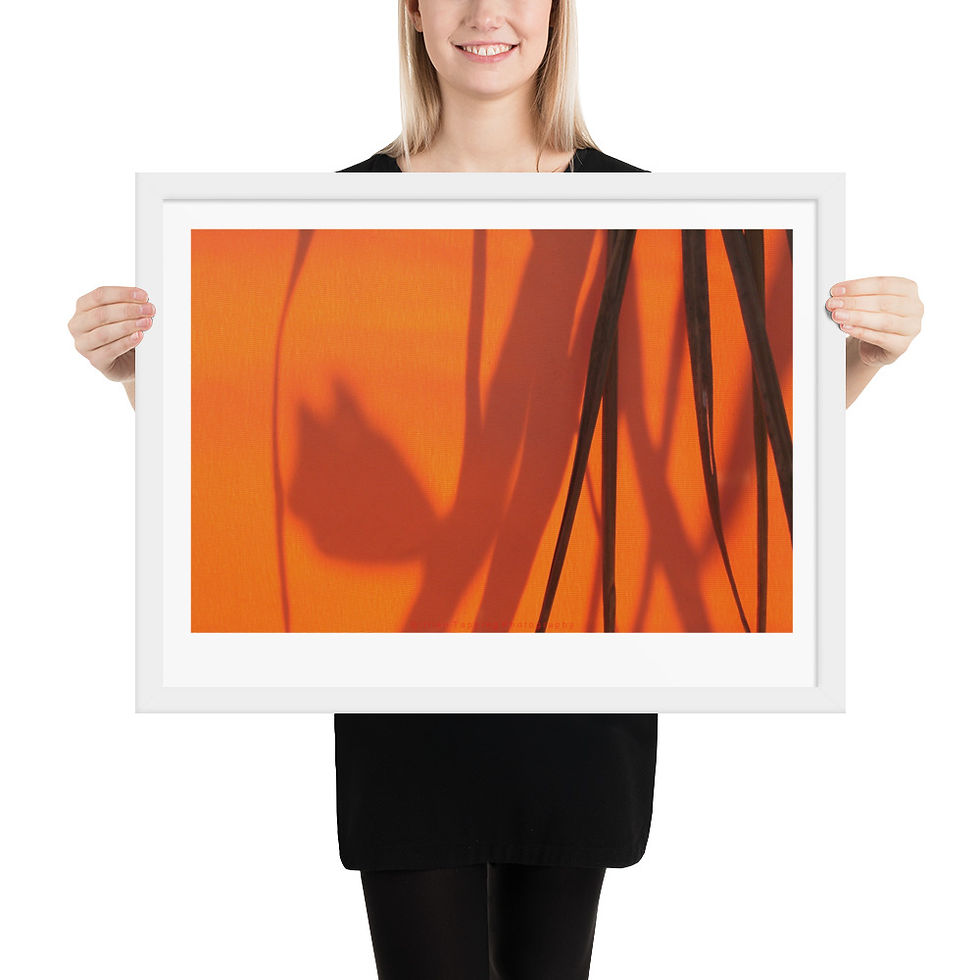 Thumbnail: Shadows on Orange framed photograph