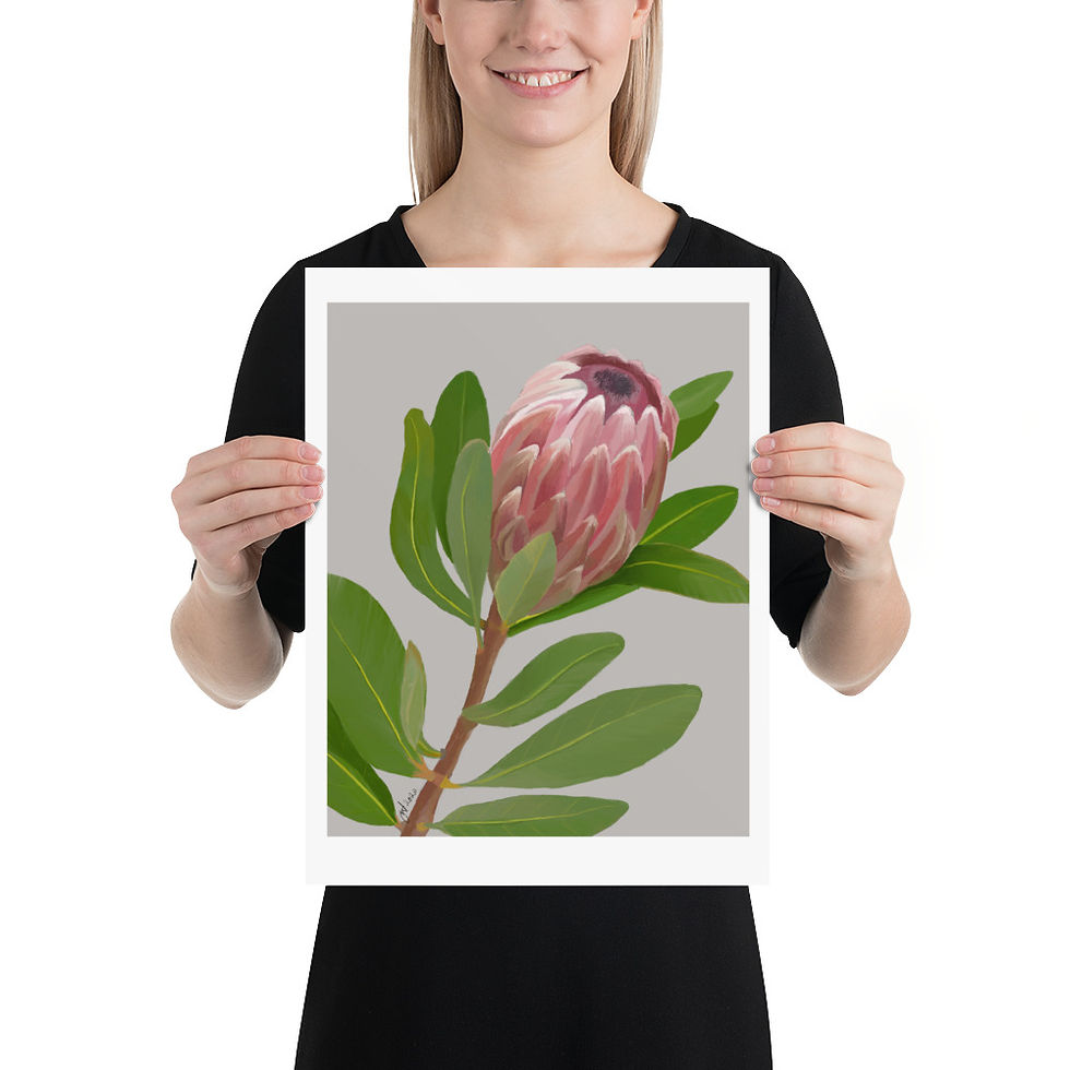 Thumbnail: Protea unframed drawing