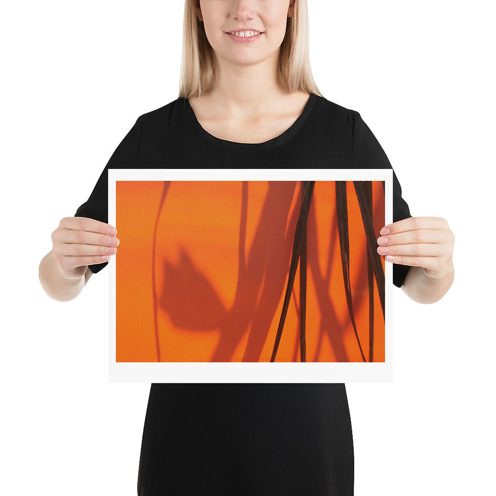 Thumbnail: Shadows on Orange unframed photograph