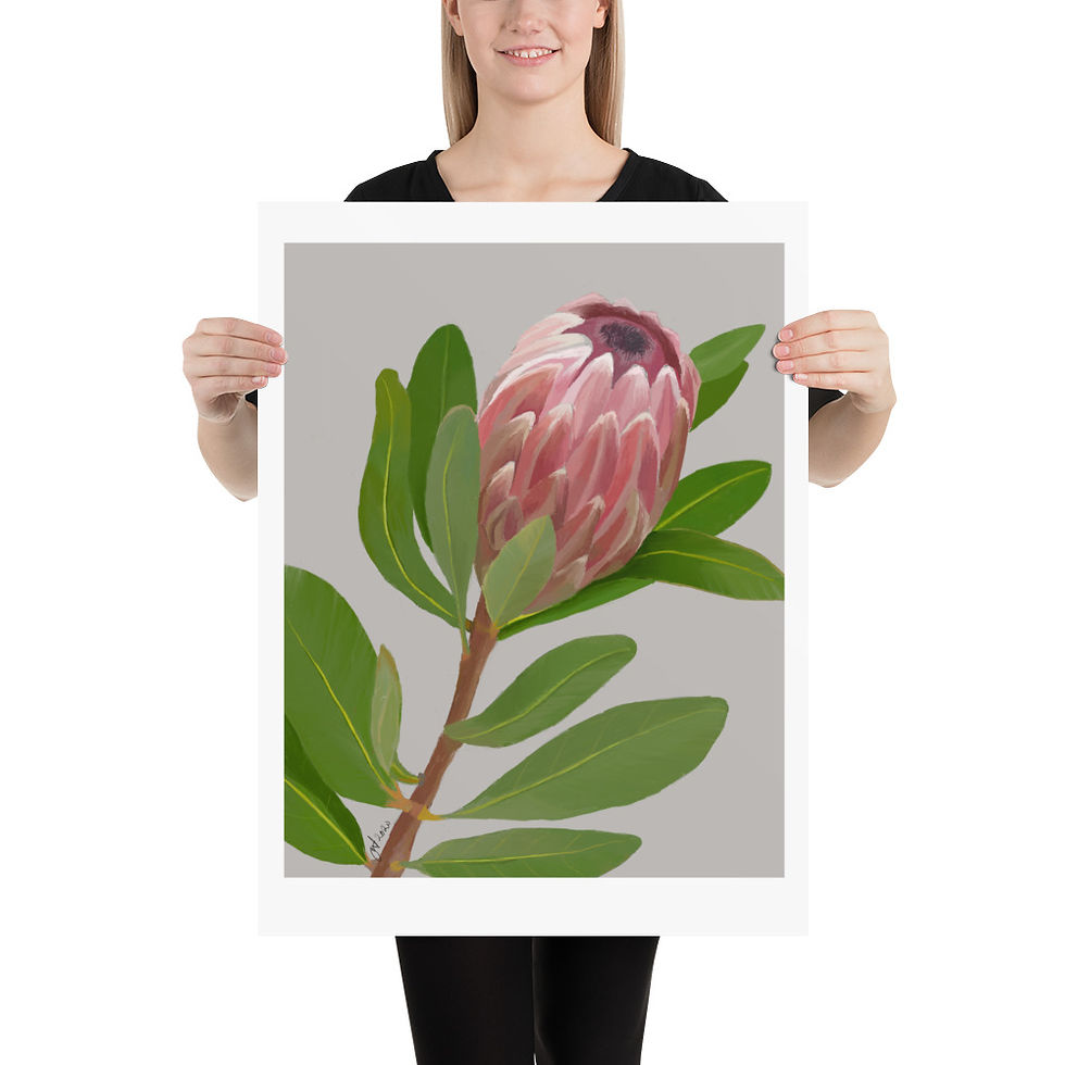 Thumbnail: Protea unframed drawing