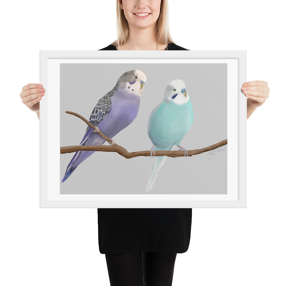 Thumbnail: Budgies in Purple and Blue framed drawing