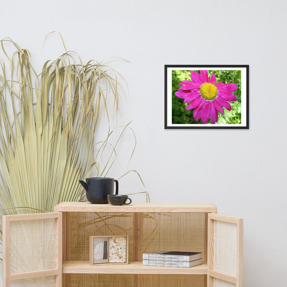 Thumbnail: Yellow and Pink Flower framed photograph