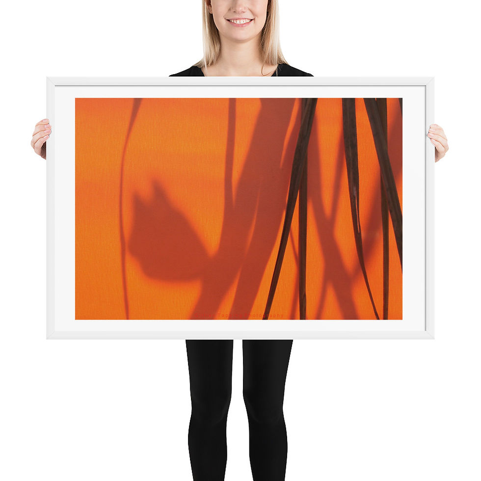 Thumbnail: Shadows on Orange framed photograph