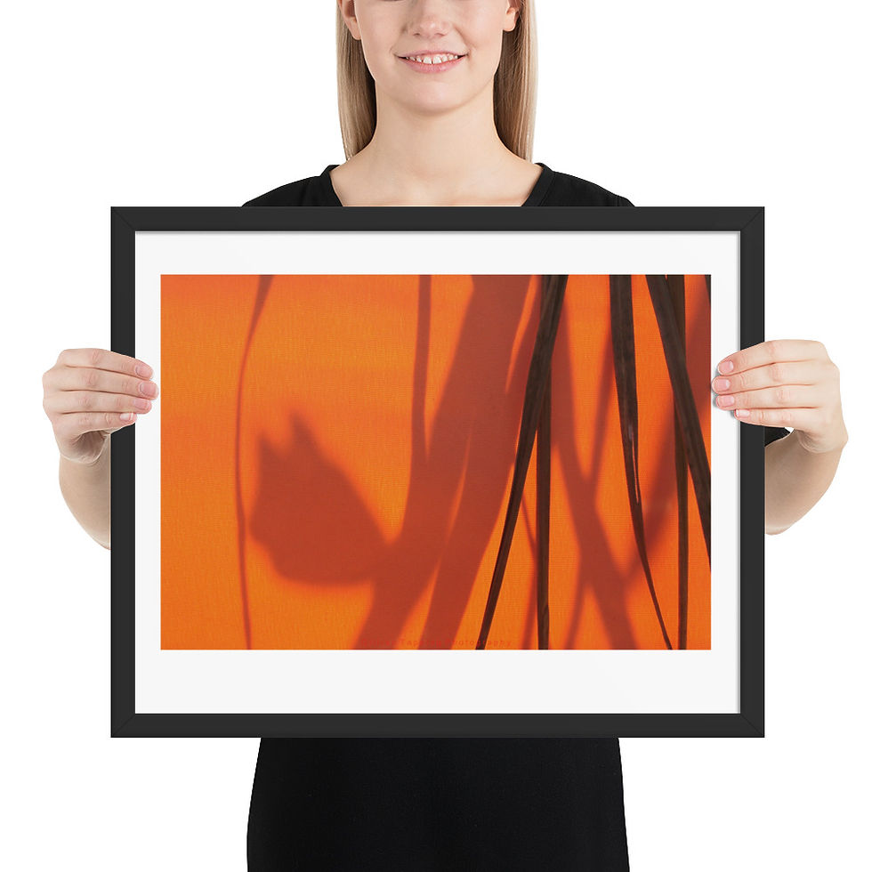 Thumbnail: Shadows on Orange framed photograph