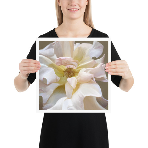 Matlock Rose unframed drawing | GillianTappingArt