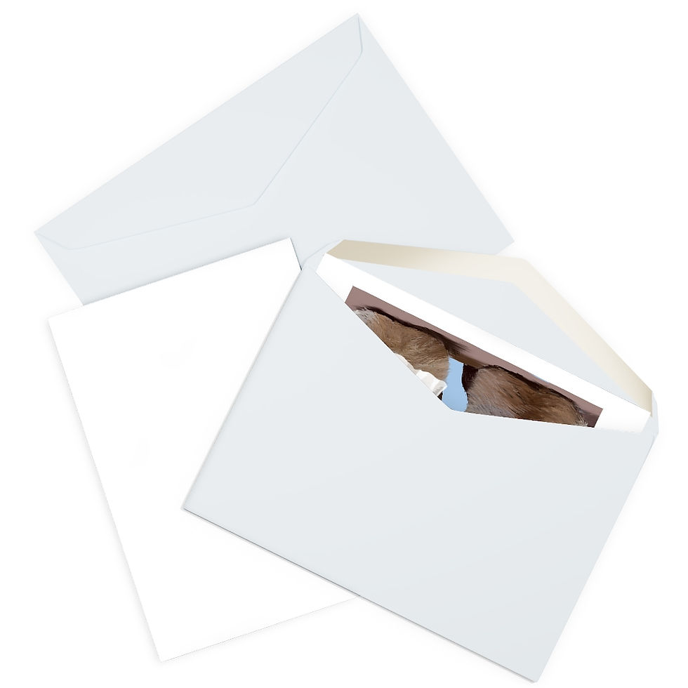 Thumbnail: The Panda Bride Greeting Cards (5 Pack)