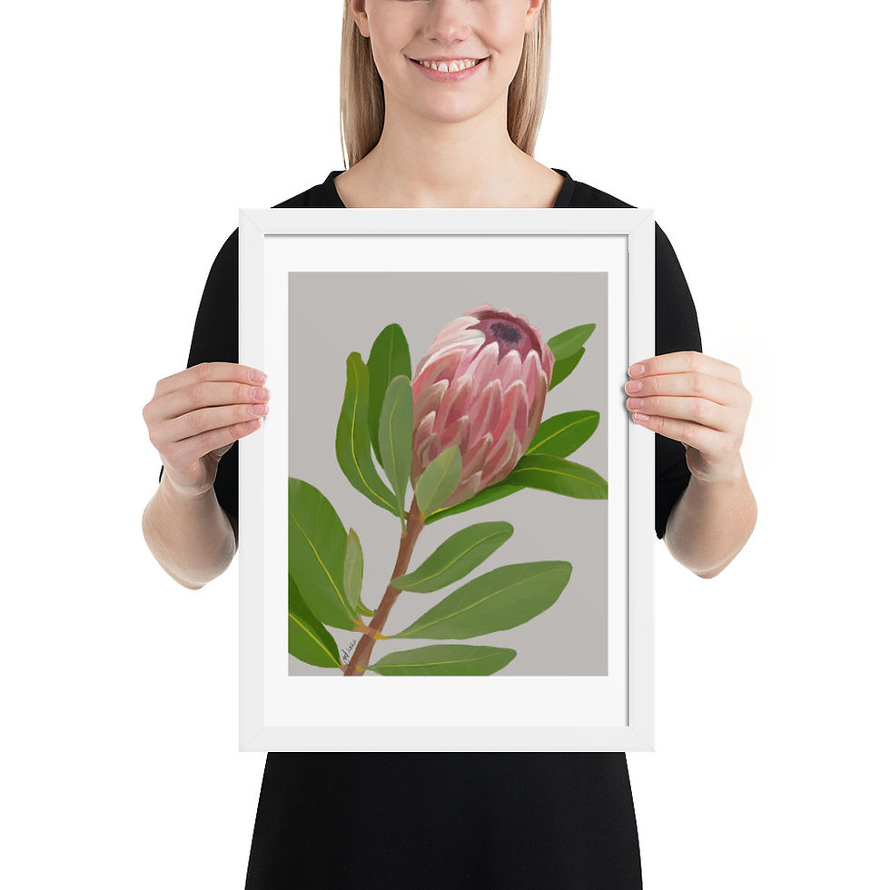 Thumbnail: Protea framed drawing