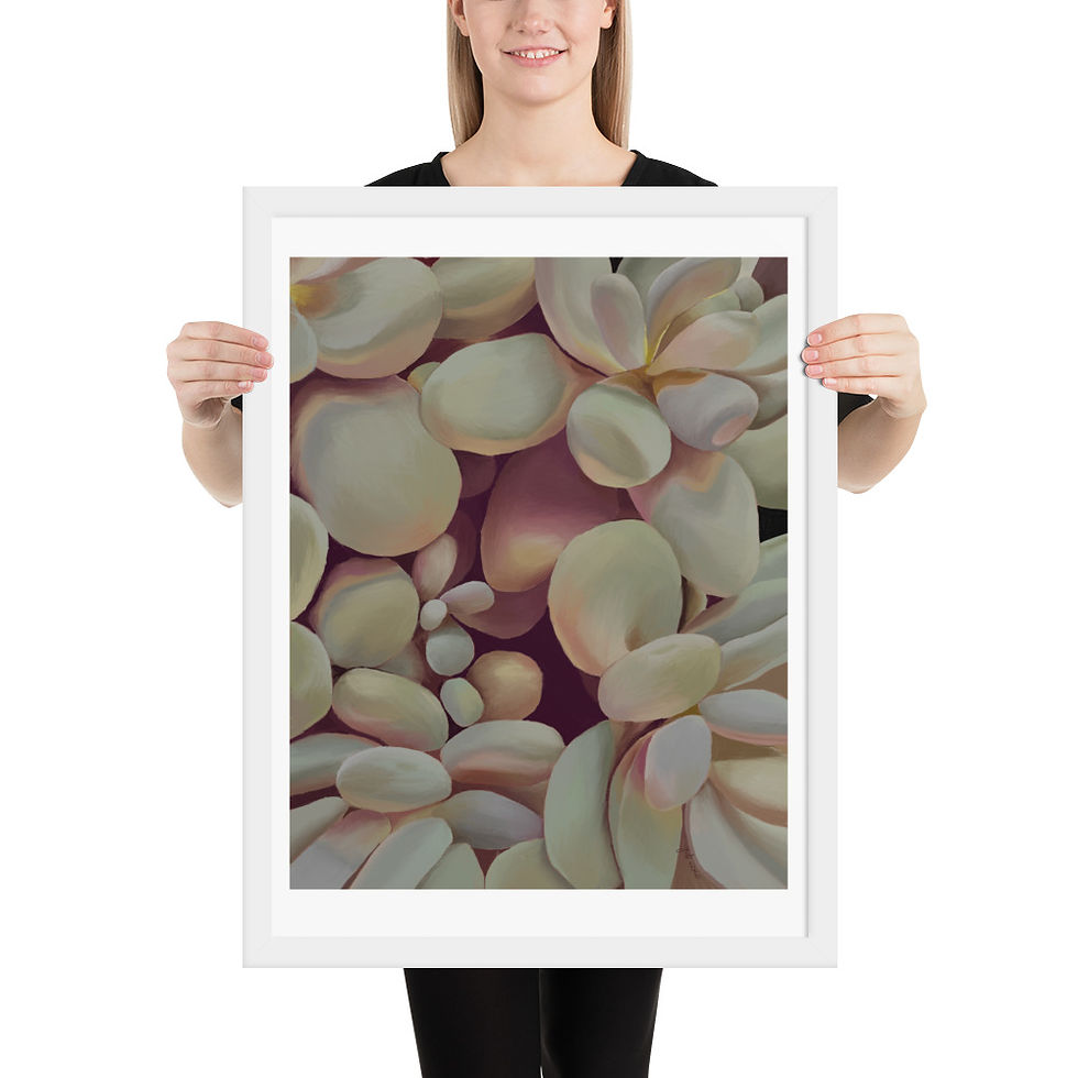 Thumbnail: Succulent Detail framed drawing