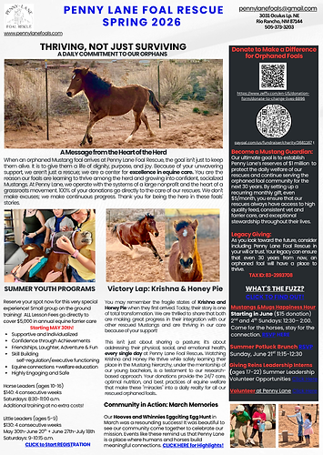 Penny Lane Foal Rescue Spring 2026 Newsletter.png