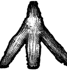 0. Logos - Final - Outlined Small.png