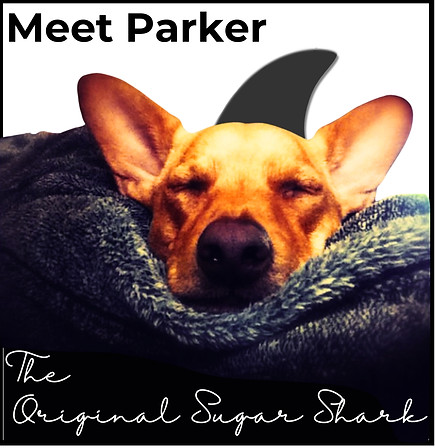 Meet the OG Sugar Shark Image.jpg