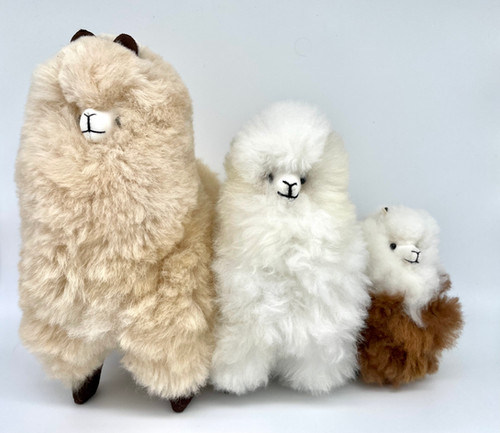 Alpaca Fur Baby | Inkasisa Farm