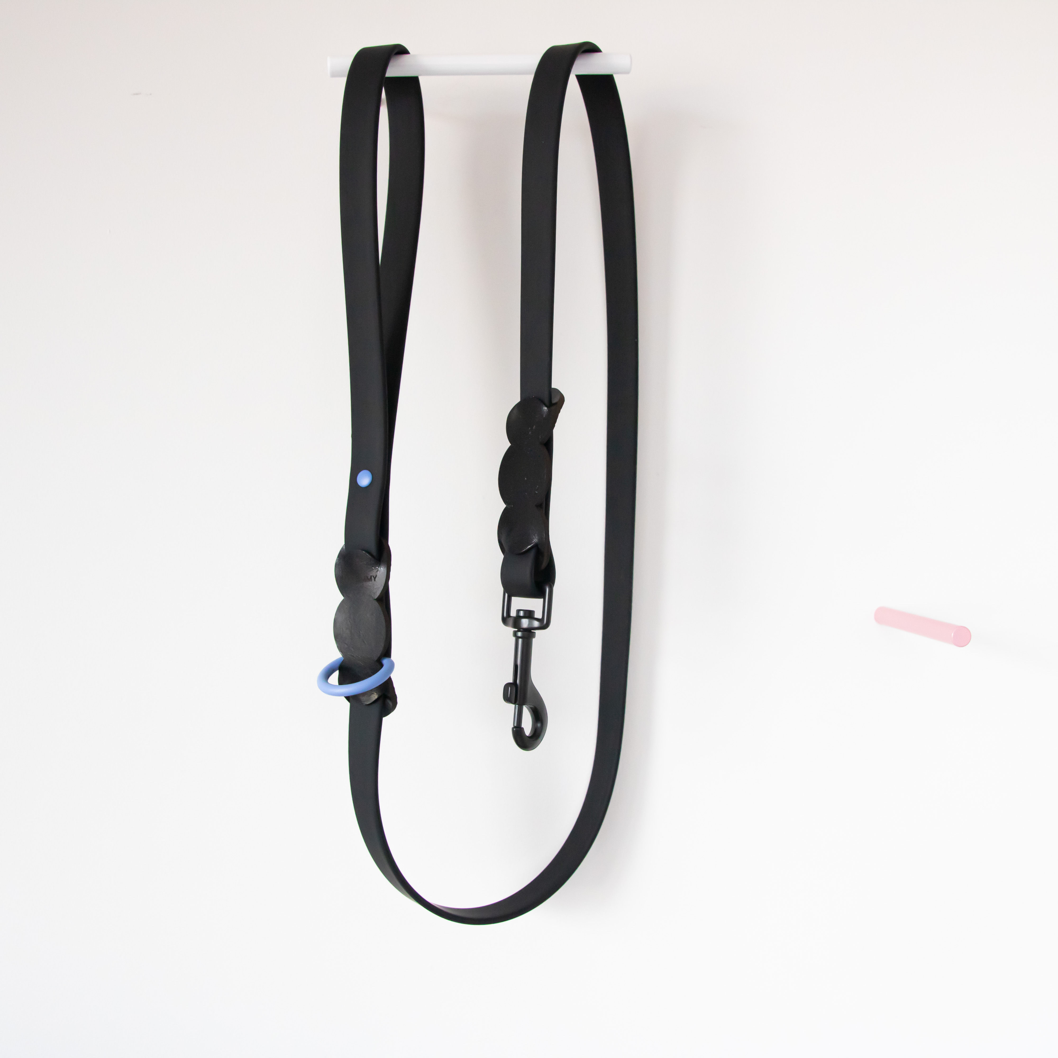 Dog leash ~ black & sky