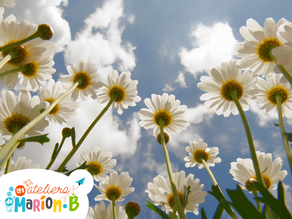 Les ateliers pour les enfants en mai et juin 2024