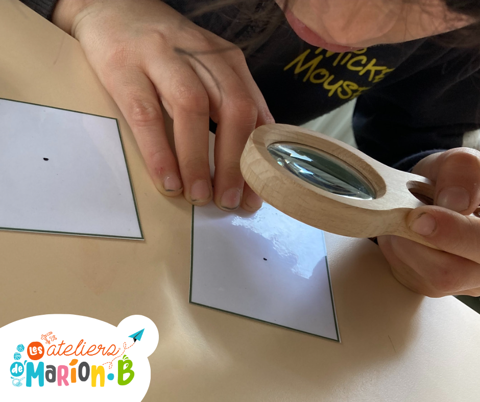 Miniature : DUO Roue + Pack d'activités Animaux de la forêt [3 à 10 ans]