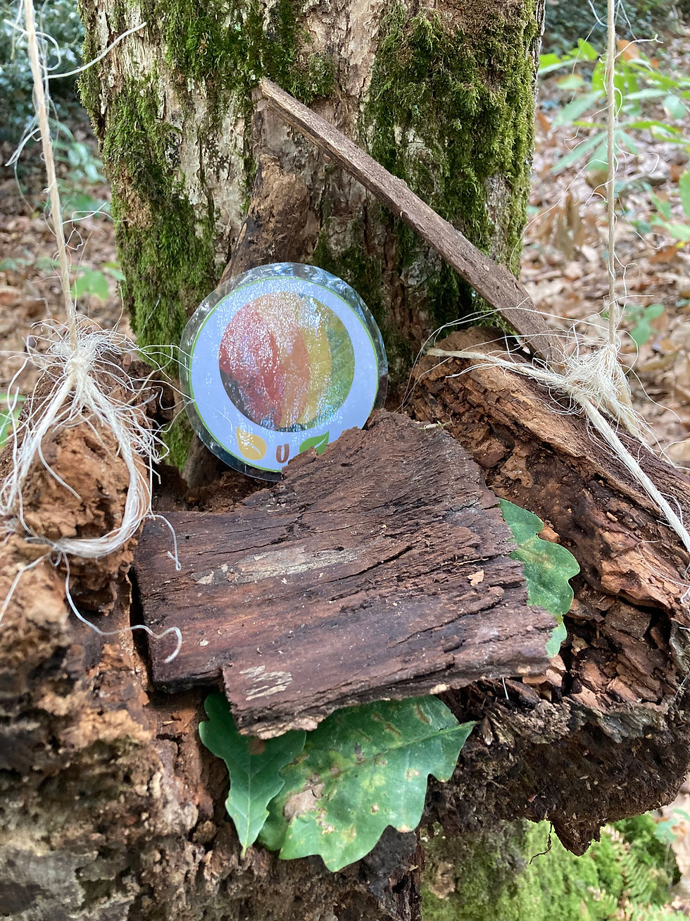 Miniature : Chasse aux indices Automne [8-10 ans]