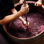Wine Cider Mead Making Crushing Grapes Must