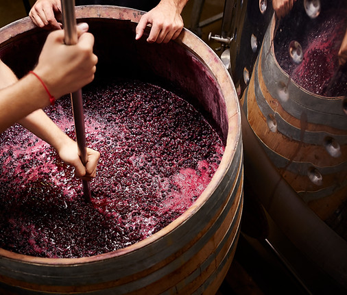 exklusiver Wein aus dem Piemont