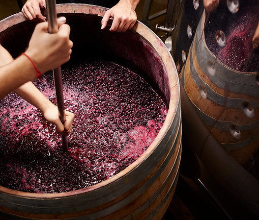 exklusiver Wein aus dem Piemont