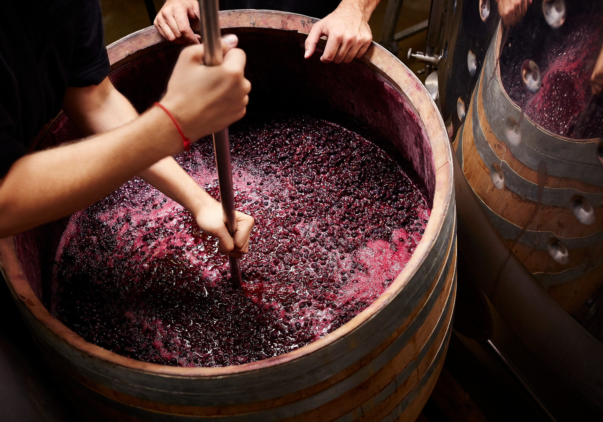 Making Wine