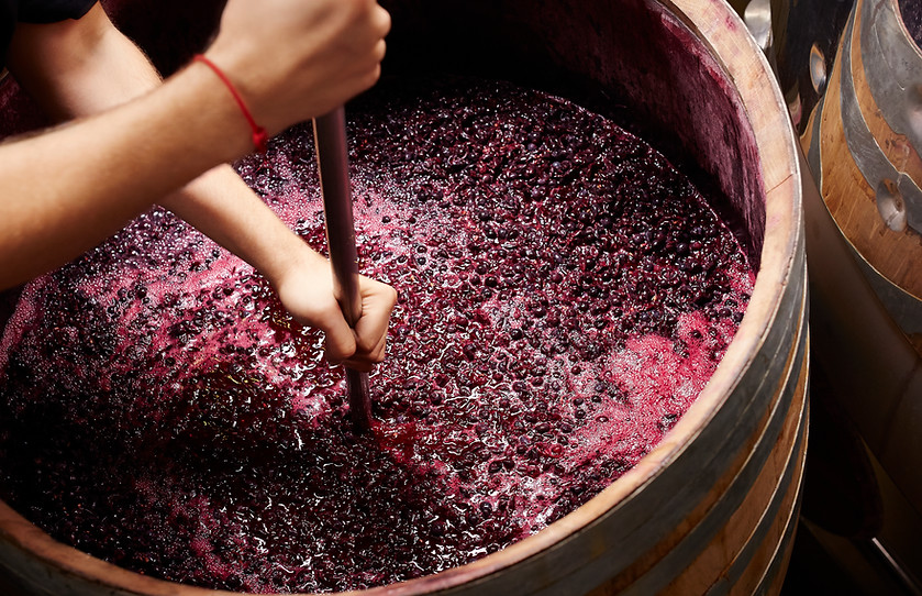 Making Wine