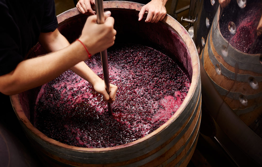 3 פסטיבלים חשובים בגיאורגיה — ענת גרוס לאור