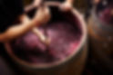 Making Wine
