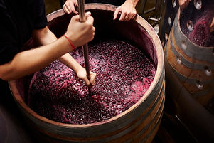 Making Wine