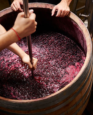 Wine Education Sydney CBD