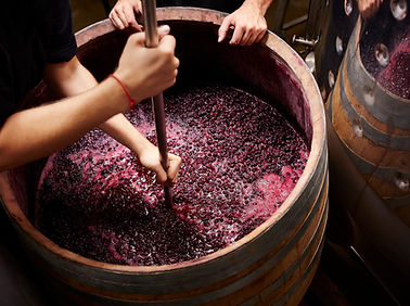 Grand River Valley Wineries