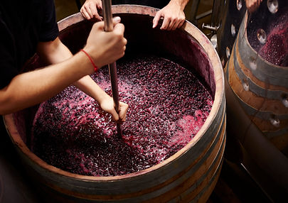 Making Wine