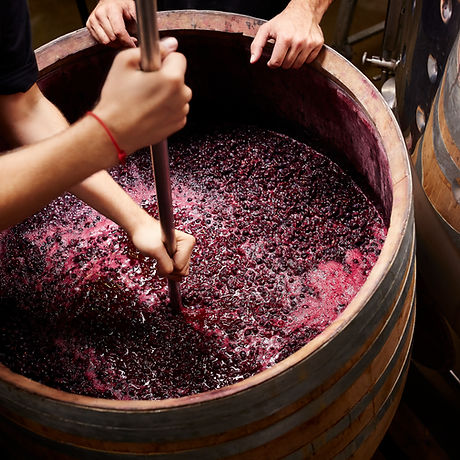 Making Wine