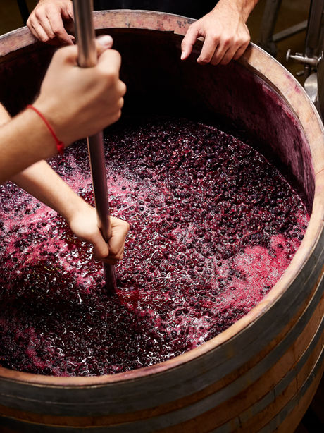 Why Wine-Touched Tequilas are Trending