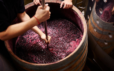 Making Wine