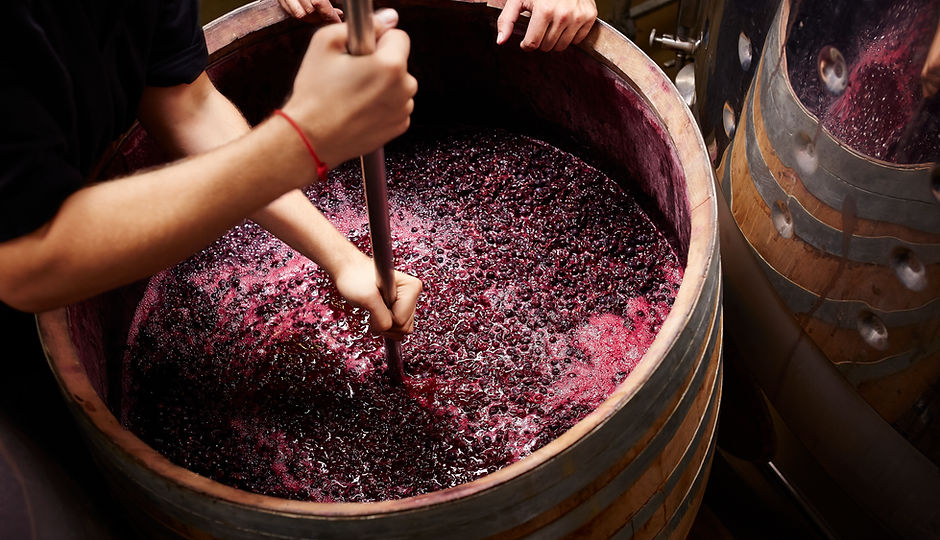 Making Wine