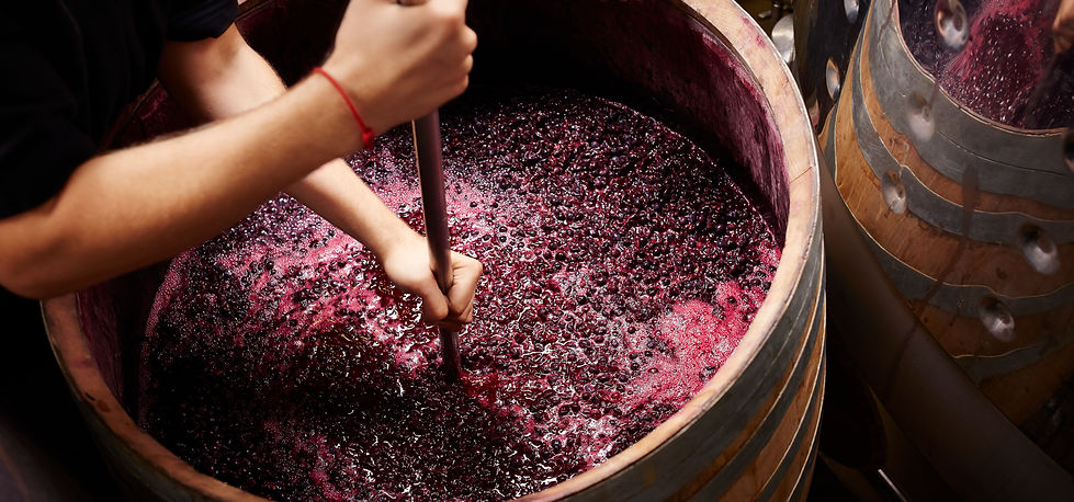Making Wine