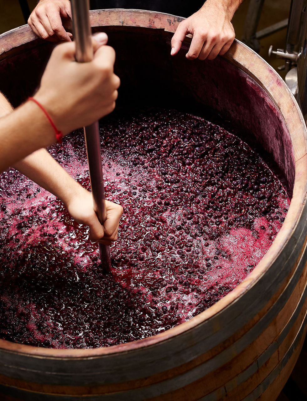 Making Wine