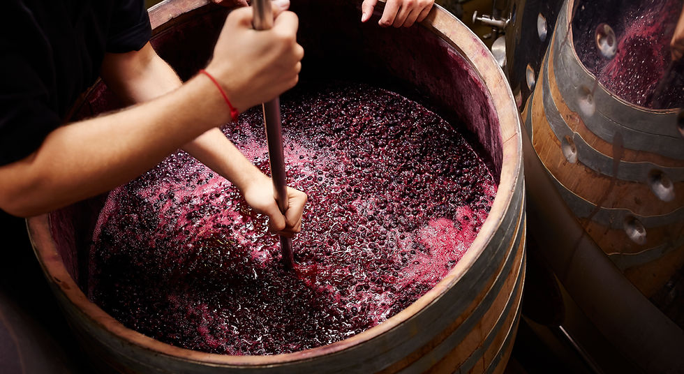 Cave Nobel, Cave à vin Pau, Vente de vin Pau, Cave Nobel Pau, Magasin de vin Pau, Vins régionaux Sud-Ouest, Vins de Bordeaux, Champagnes et spiritueux, Vente en ligne de bières, Vente de spiritueux, commande en ligne spiritueux, Vente en ligne de vins et spiritueux, Vin bio et vegan, Coffrets cadeaux vin, Vins du sud-ouest, Boutique en ligne de vin, Livraison de vin, Vente en ligne de vins, Champagne, Boutique de vins et spiritueux Sud-Ouest, médoc, bordeaux, bourgogne, madiran, Graves, Apéritifs, liqueur, Vente en ligne vins et apéritifs, whisky, rhum, gin, vodka, cognac, armagnac, vente en ligne whisky, acheter vin, achat vin, acheter whisky, achat vin pau