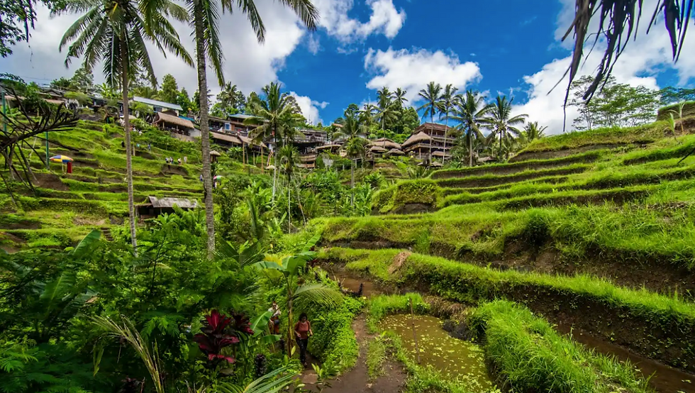 Travel expert reveals secrets to score the best Black Friday flight deals