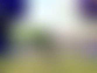 Mosiako and Ndinda Blaze to Victory in Joburg 10km Showdown