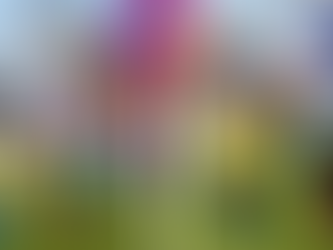 Two Oceans Marathon Beneficiary Applications are OPEN