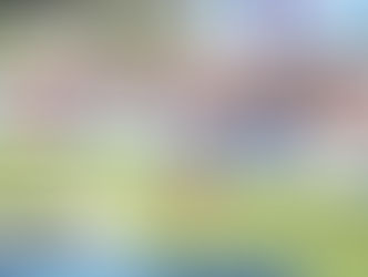 Steyn honoured to be a member of the Totalsports Two Oceans Marathon Blue Number Club