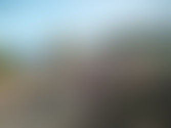 Entries OPEN for the 2026 Totalsports Two Oceans Marathon