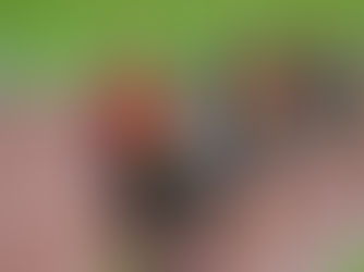 CGA Kicks off the 2024 Track and Field Season Successfully