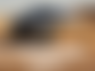 BYD South Africa Triumphs at the Top Gear South Africa Magazine Awards 2025